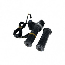 Poignées d'accélérateur Draisienne à clef avec écran LED 48V