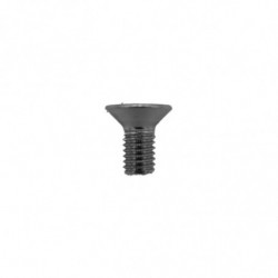 Vis Folding Dualtron Inox X10Pcs