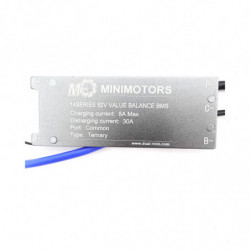 BMS Dualtron Mini V1 52V