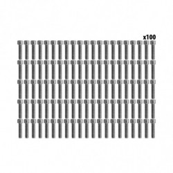 Vis BTR roue Ar Dualtron Mini (x100 pcs)