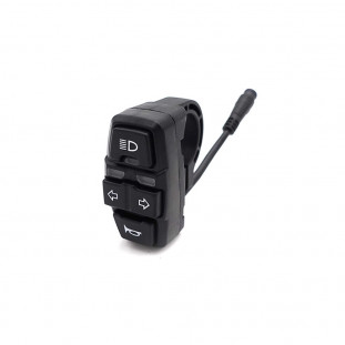 Interrupteur Dualtron Forever, Aminia