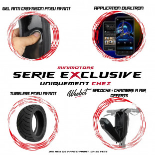 Trottinette Électrique Dualtron Togo