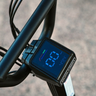 Trottinette Électrique Dualtron Togo