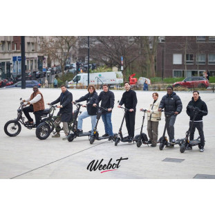 Trottinette Électrique Dualtron Togo