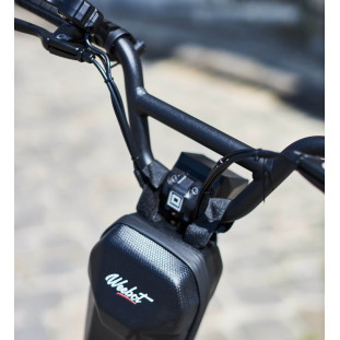 Trottinette Électrique Dualtron Togo Limited