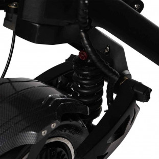 Trottinette Électrique Teverun Fighter Supreme Plus