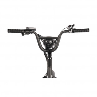 Vélo Électrique Biplace Cargo Garrett Miller Urban